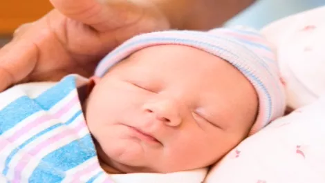Plunket chooses cloud based Office 365