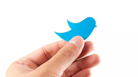 Twitpic launches free iPhone app