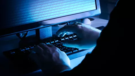 WHERE THE WILD THINGS ARE