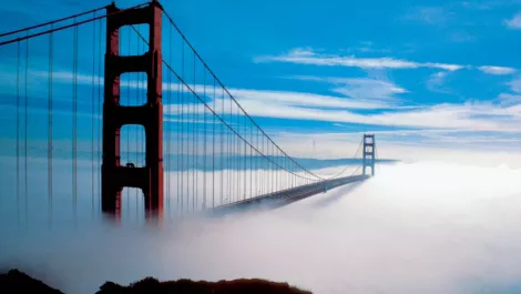 Cisco out Alcatel in, saves US uni $100m