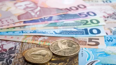 NZ's top business leaders up for charity auction...