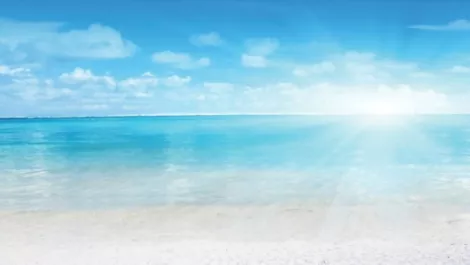 Enjoy your Days of Summer with Ingram Micro's HP campaign