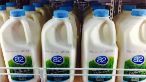 A2 Milk debuts on ASX, announces mid-April US launch