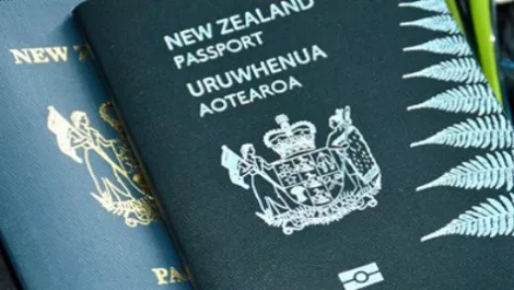 Ten-year passports on the way as gov pushes online