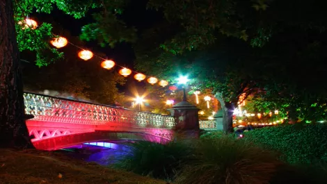 Canterbury's time to shine in New Zealand's tech economy