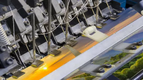 Inside the Kiwi UFB experience - Different Graphic Design & Jeff Oliver Print
