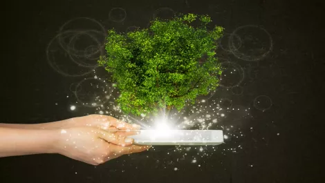 WWF calls on innovators to step up for NZ conservation competition