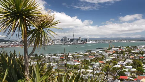 Inside the Kiwi UFB experience - Icehouse & Andy Hamilton