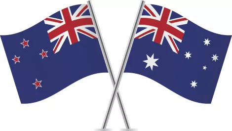 DNA Connect inks Sbox distie deal