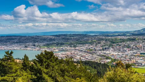 Dunedin GigStart reports 'record' number of startup applications for final funding round