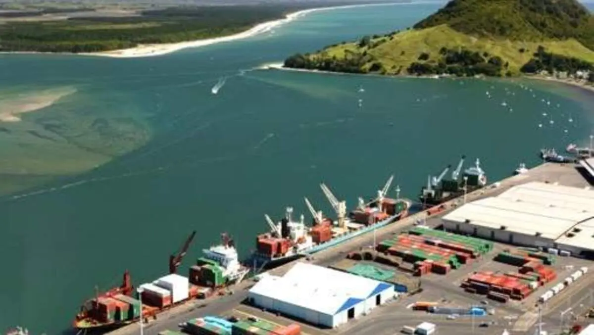 Call for review of toxic gas at ports