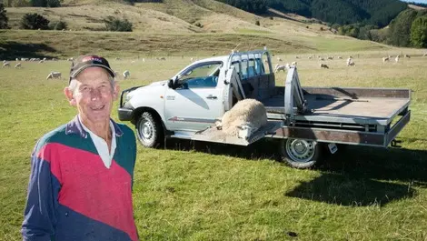 Perfect solution to persistent lambing back pain