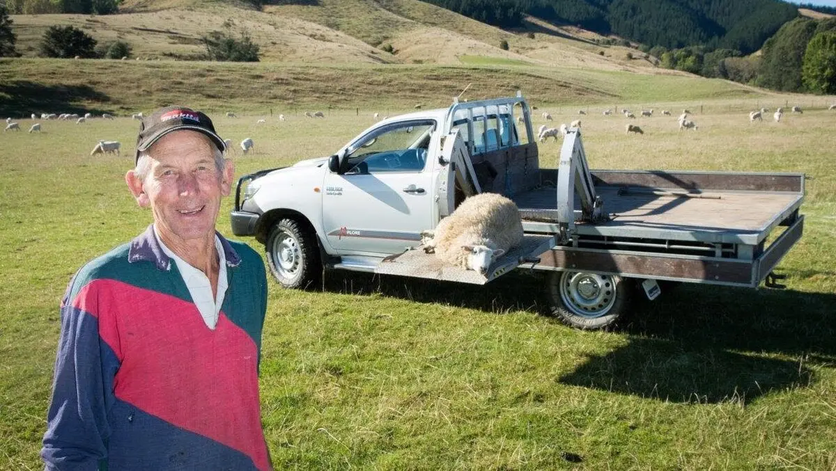 Perfect solution to persistent lambing back pain