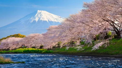 Darktrace joins UK Prime Minister on trade mission to Japan