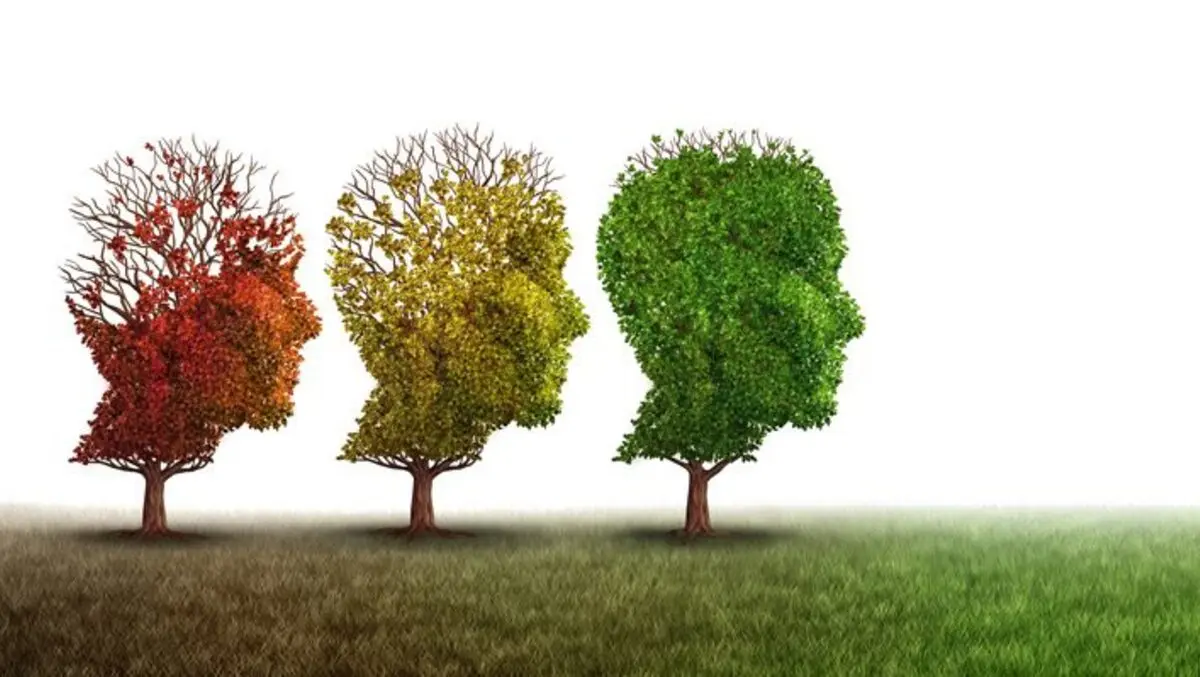 Mental wellbeing at work toolkit launched