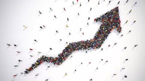 Local government fuelled growth of TechnologyOne in 2017