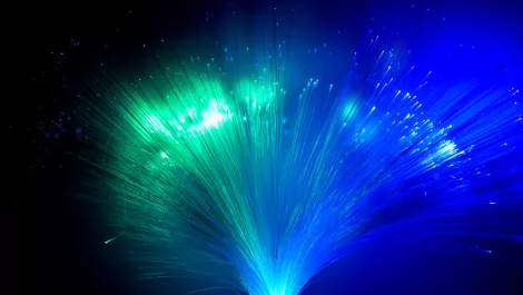 Enable celebrates 100,000th connection as Rugby World Cup nears