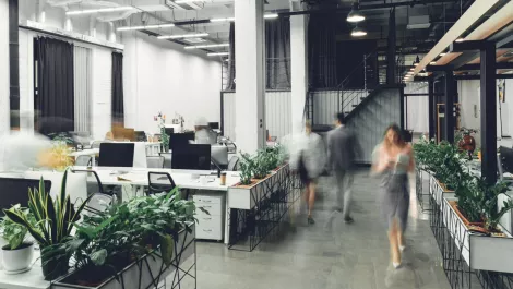 Culture Amp aims to advance inclusion in Singapore and APAC