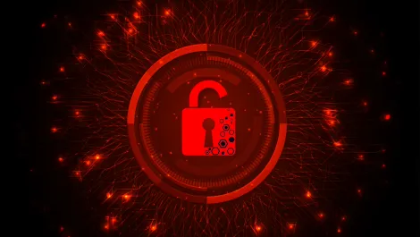 Apathetic Kiwis a mouthwatering prospect for cybercriminals