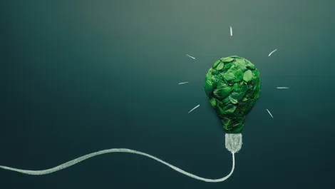 Environmental sustainability makes it to top 10 of CEO priorities