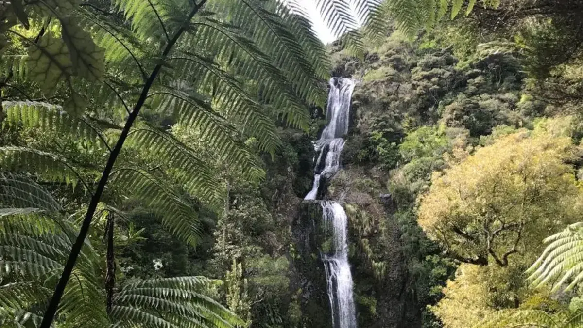 Safety upgrades aimed at slowing drivers on popular Piha road