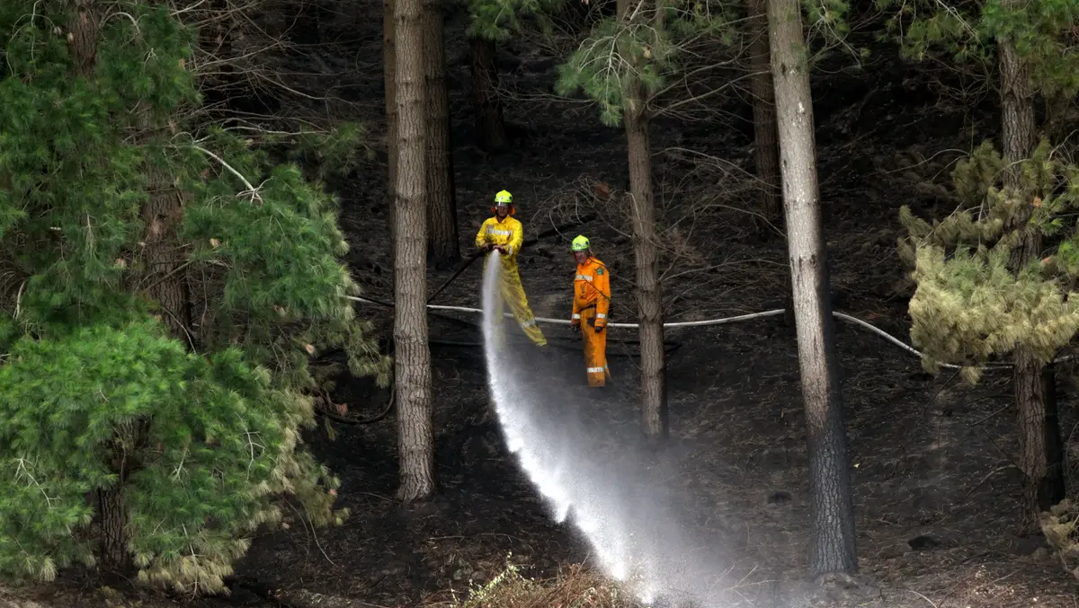 El Niño could raise wildfire and water-quality risks in Hawke's Bay, council says
