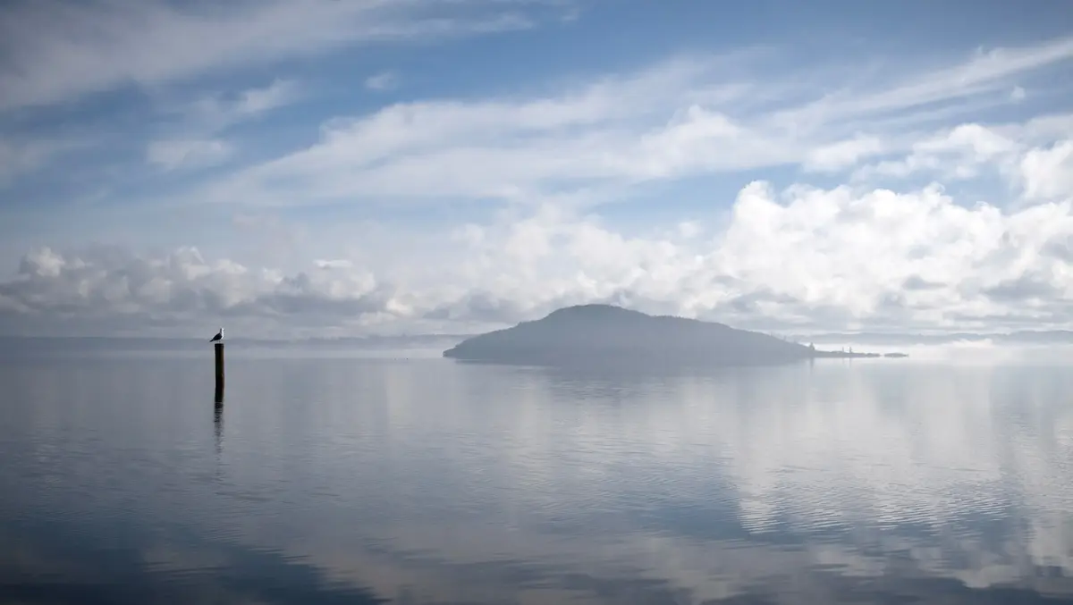 Testing eases Rotorua lake and forest 'forever chemical' fears