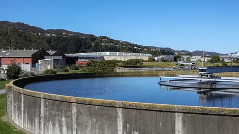 Tiaki Wai spends $150m on 'dreadful' Seaview stench