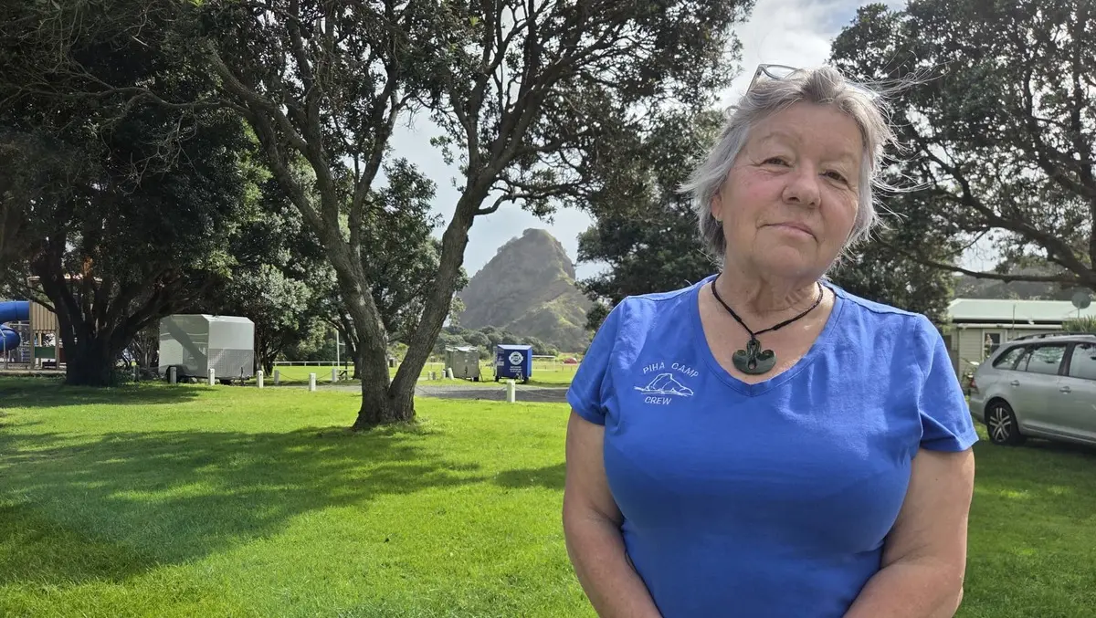 Piha domain to reopen for summer despite council recommendations
