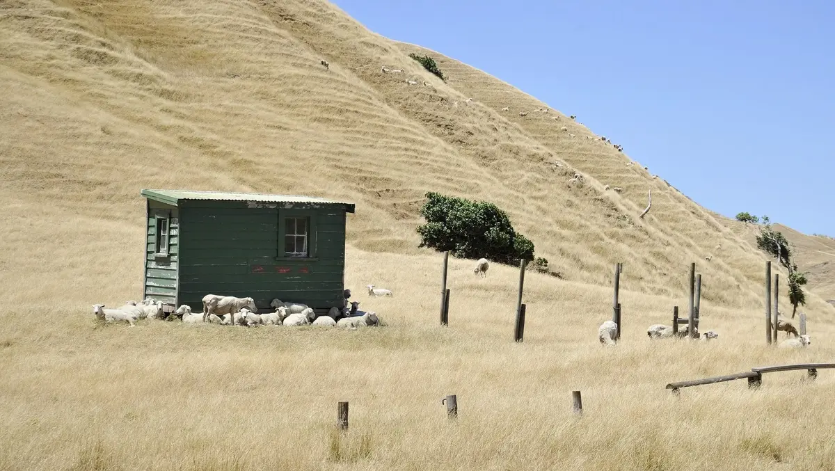 Gisborne farmers and wine growers see upside of El Niño