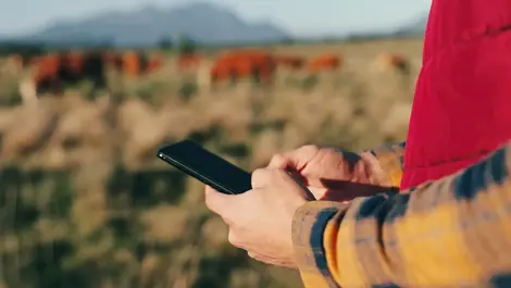 Without 3G 'rural mobile coverage has gone backwards'