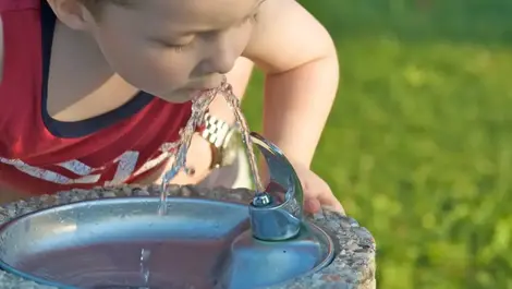 21 schools found with elevated drinking water nitrate levels