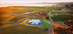 Yealands Wine Group’s Seaview vineyard in the Awatere Valley has added extra appeal to the Gruner Veltliner grape.