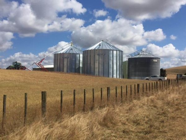 Dangers of entering grain silos underestimated - Industrial Safety News ...