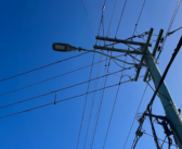 Companies sentenced for working unsafely near powerlines