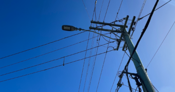 Companies sentenced for working unsafely near powerlines