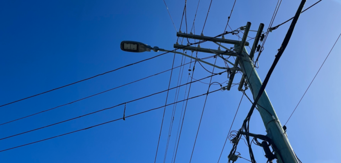 Companies sentenced for working unsafely near powerlines