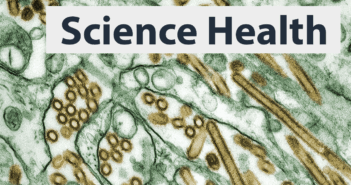 Researchers have created new viruses using AI. The hope is that the tech can be used to create targeted phages ** — that take out problematic bacteria — selectively killing an antibiotic-resistant strain infecting a person, for instance. However, “there is no sugarcoating the risks,” Tal and Jonathan Feldman wrote in The Washington Post