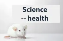 A problem which affects the personal and workplace wellbeing of half the world’s population is finally gaining attention. Study of the female reproductive system has long been set back by societal stigma — but also by the fact that most laboratory animals don’t menstruate. Now, researchers have engineered mice that can get a period. They would be used to study reproductive health conditions and treat heavy menstrual bleeding.
