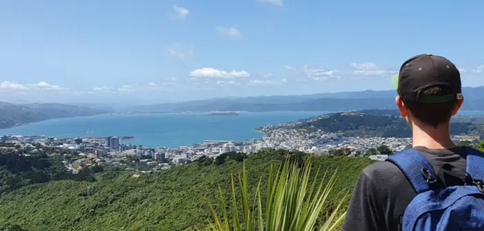 A deep dive into RMA reform